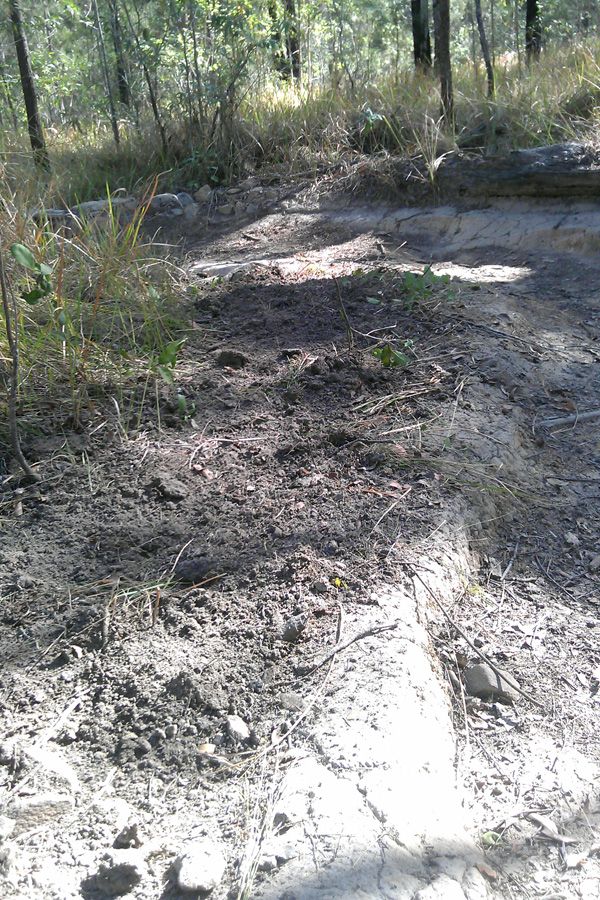 Happy Digging 03.jpg